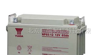 供应汤浅蓄电池NP38V12报价