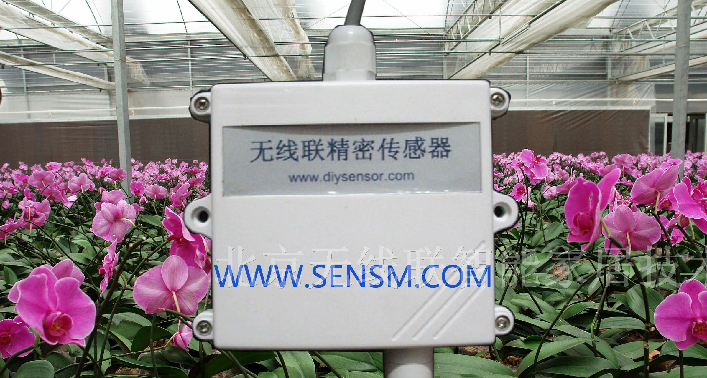 供应有线温湿度变送器