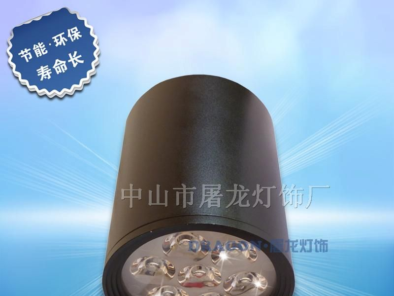 供应大功率LED筒灯，明装LED筒灯，酒店灯