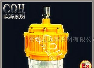 供应-BPC8731-BPC8731-BPC8731-防爆无极灯价格