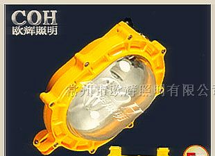 供应-BFE8120-BFE8120-内场防爆强光灯厂家直销