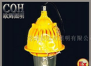供应-BFC8130-BFC8130-BFC8130_内场防爆泛光灯价格