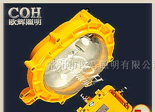 供应-BFC8120-BFC8120内场防爆泛光灯厂家直销