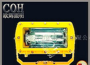 供应-BFC8100-BFC8100-BFC8100-外场防爆泛光灯价格