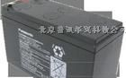品牌好型号全朝阳松下蓄电池直销全国现货
