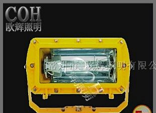 供应欧辉照明厂家直销BFC8100 外场防爆强光泛光灯