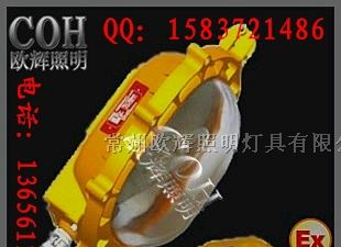 批发 BFE8120 内场防爆应急灯 欧辉照明