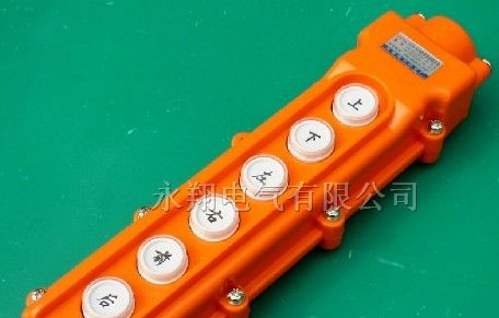供应 COB-63按钮 防水按钮开关 行车按钮开关 起重按钮