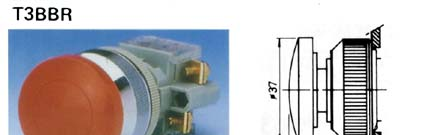 供应按钮开关 T3BBR