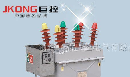 户外柱上真空断路器ZW8-12/630，户外真空断路器ZW8