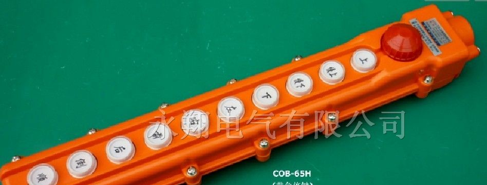 供应 COB-65H 防水按钮开关行车开关起重控制按钮