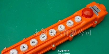 供应COB-64H 带急停防水按钮 行车 起重按钮开关