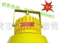 供应<BPC8720>|<BYC6170>防爆平台灯