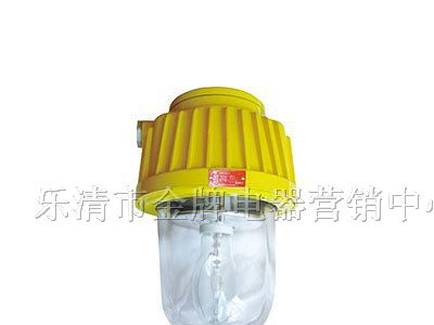 供应之星BPC8730,BPC8730防爆平台灯
