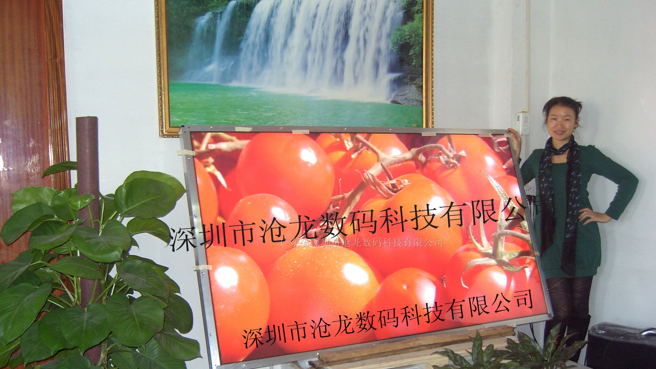 供应三星82寸超大尺寸液晶监视器