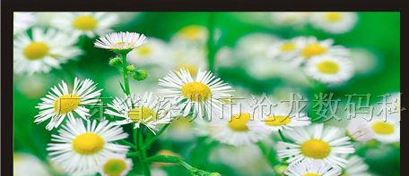 广东深圳厂家供应大尺寸液晶监视器