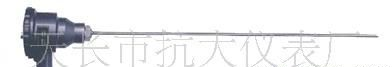 电站专用热电偶（阻）