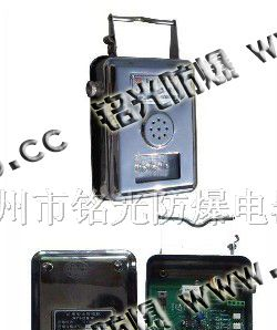 供应矿用本安型报警器，本安型报警器，语音声光报警器