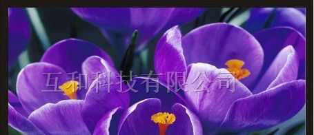 供应47寸液晶监视器