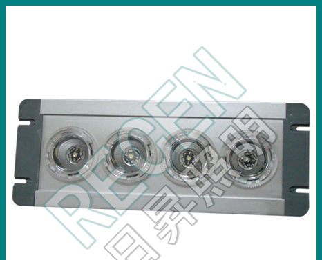 LED顶灯NFE9121应急顶灯