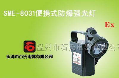 供应夜间巡逻灯，LED防爆灯,防爆应急工作灯