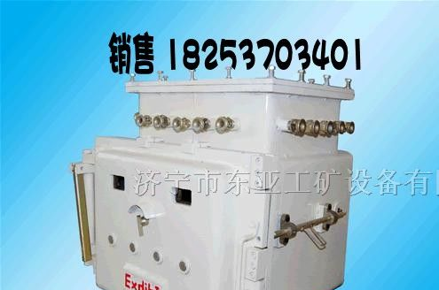 供应优质矿用隔爆兼本安型可编程控制器
