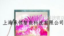 供应元太5寸LVDS接口数字液晶屏--PD050VL1（LED)