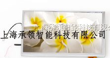 供应元太6.5寸模拟液晶屏--PA065XS1（CCFL）