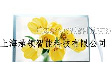 供应元太7寸LVDS接口数字液晶屏--PM070WL3（LED)