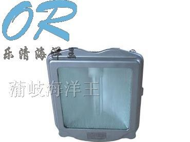 供应乐清海洋王NSC9700防眩通路灯