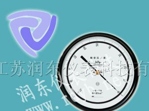 供应精密压力表