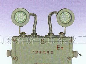 供应BAJ52防爆应急灯