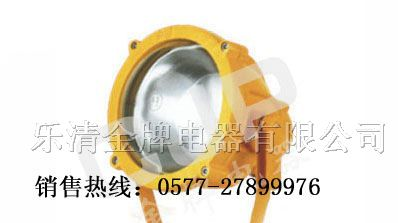 供应btc8200,btc8200海洋王投光灯,btc8200,防爆投光灯