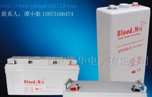 供应NP65-12铅酸蓄电池