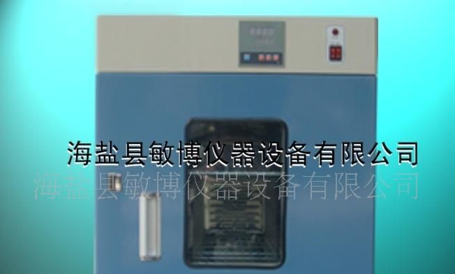 T009供应电热恒温鼓风干燥箱