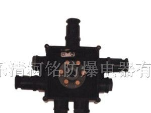 供应BJX8050系列防爆防腐接线箱（ⅡC）