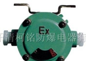 供应BAZ51系列防爆镇流器（ⅡB、ⅡC、e）