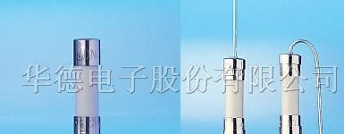 供应TSC华德保险丝