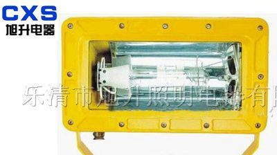 供应CBFC8100外场防爆强光泛光灯，BFC8100，BFC8120