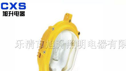 供应CBFC8120内场防爆强光泛光灯，BFC8120，BFC8130
