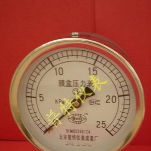 北京普特 YE膜盒压力表（生产）
