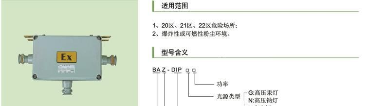 粉尘防爆镇流器(DIPA20)