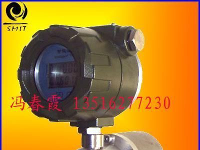 斯秘特防爆型、容积式汽油流量计、LC椭圆齿轮流量计