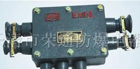 供应JHH-100矿用本安型分线箱