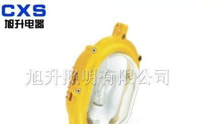 供应CBFC8120内场防爆强光泛光灯