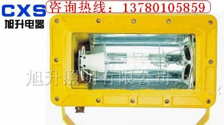 供应CBFC8100外场防爆强光泛光灯