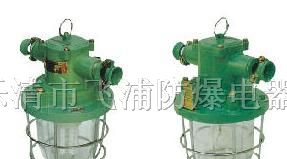 供应DGS-60/127(原KBB)系列矿用隔爆型白炽灯