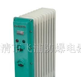 供应BDR系列防爆电加热器，防爆电暖器(油汀)