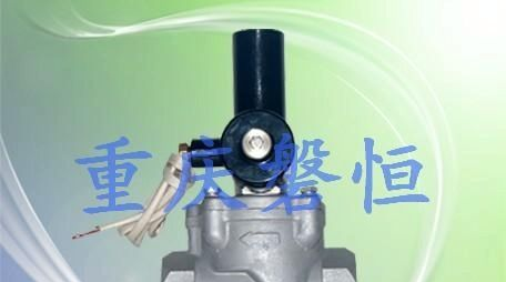 供应PH重庆活塞式电磁阀