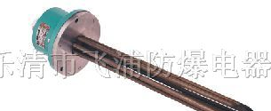供应BDR系列防爆电加热器